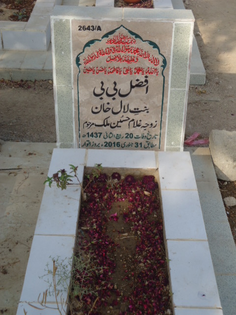 12643 – Afzal Bibi