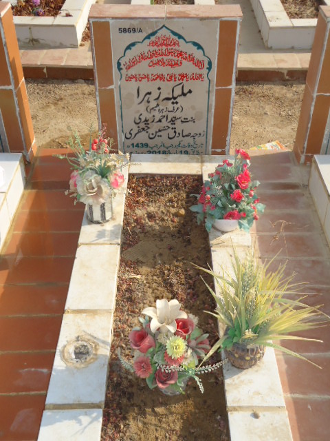 15869 – Malika Zehra
