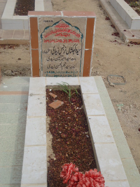 14083 – Syeda Kehkashan Narjis Zaidi
