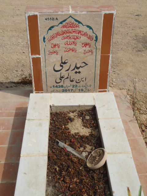 14552 – Haider Ali