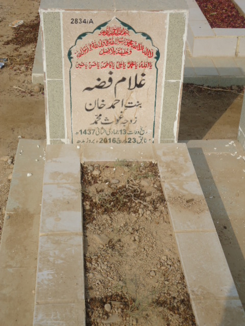 12834 – Ghulam Fizza