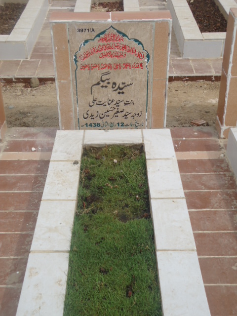 13971 – Syeda Begum