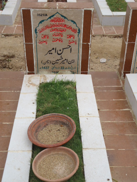 13521 – Ahsan Ameer