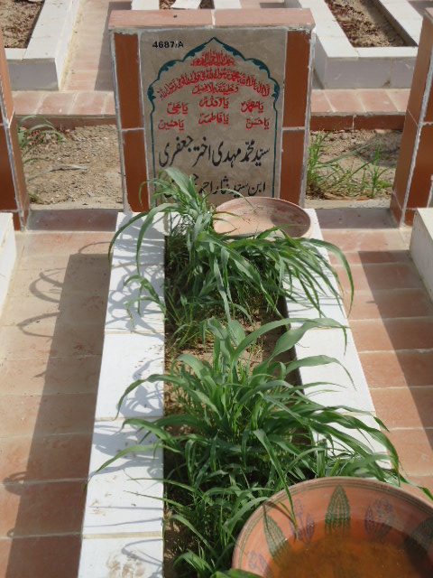 14687 – Syed Muhammad Mehdi Akhtar Jaffery