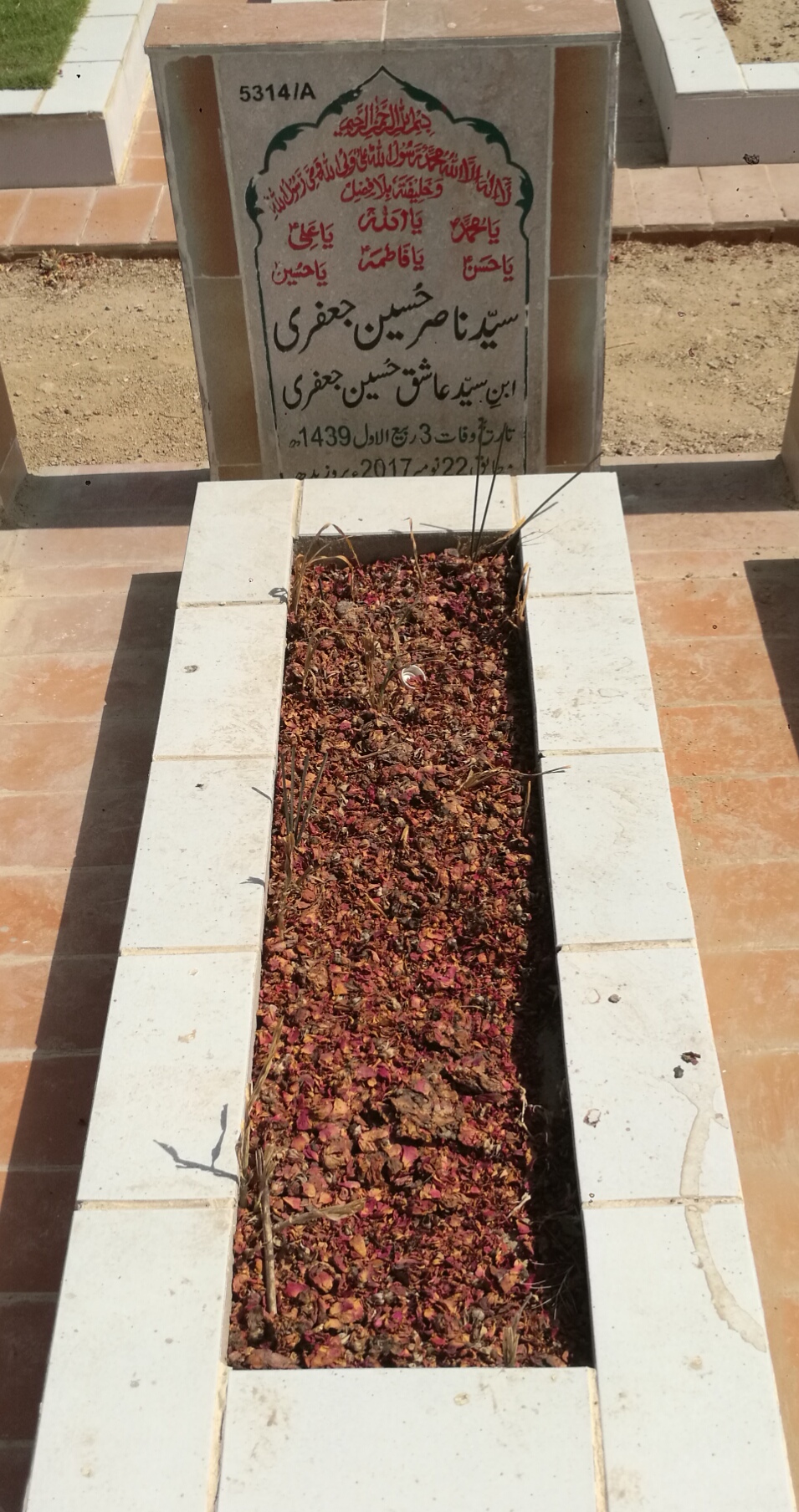 15314 – Syed Nasir Hussain Jaffery