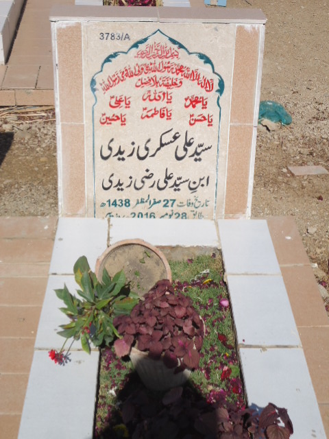 13783 – Syed Ali Askari Zaidi
