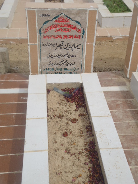 13866 – Seema Parveen Qaisar