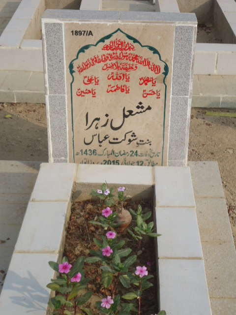 11897 – Mashal Zehra