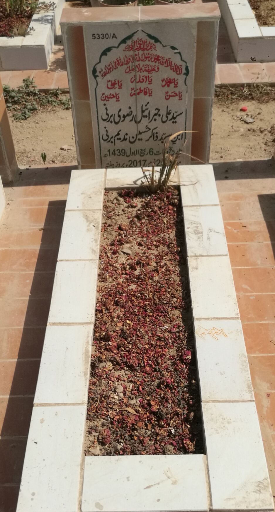 15330 – Syed Ali Jabraeel Rizvi