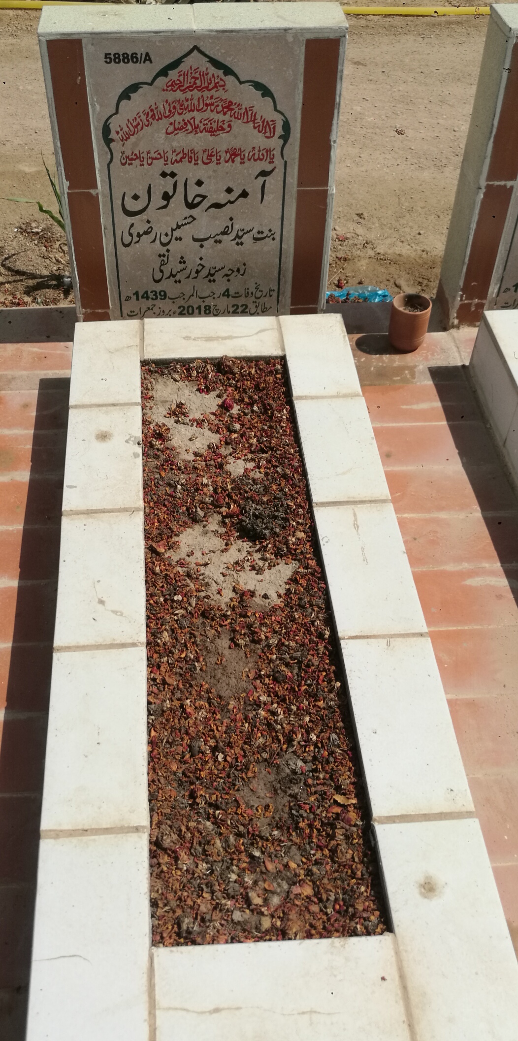 15886 – Aamna Khatoon