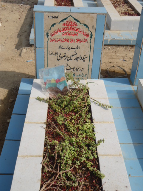 11624 – Syed Wajid Hussain Rizvi