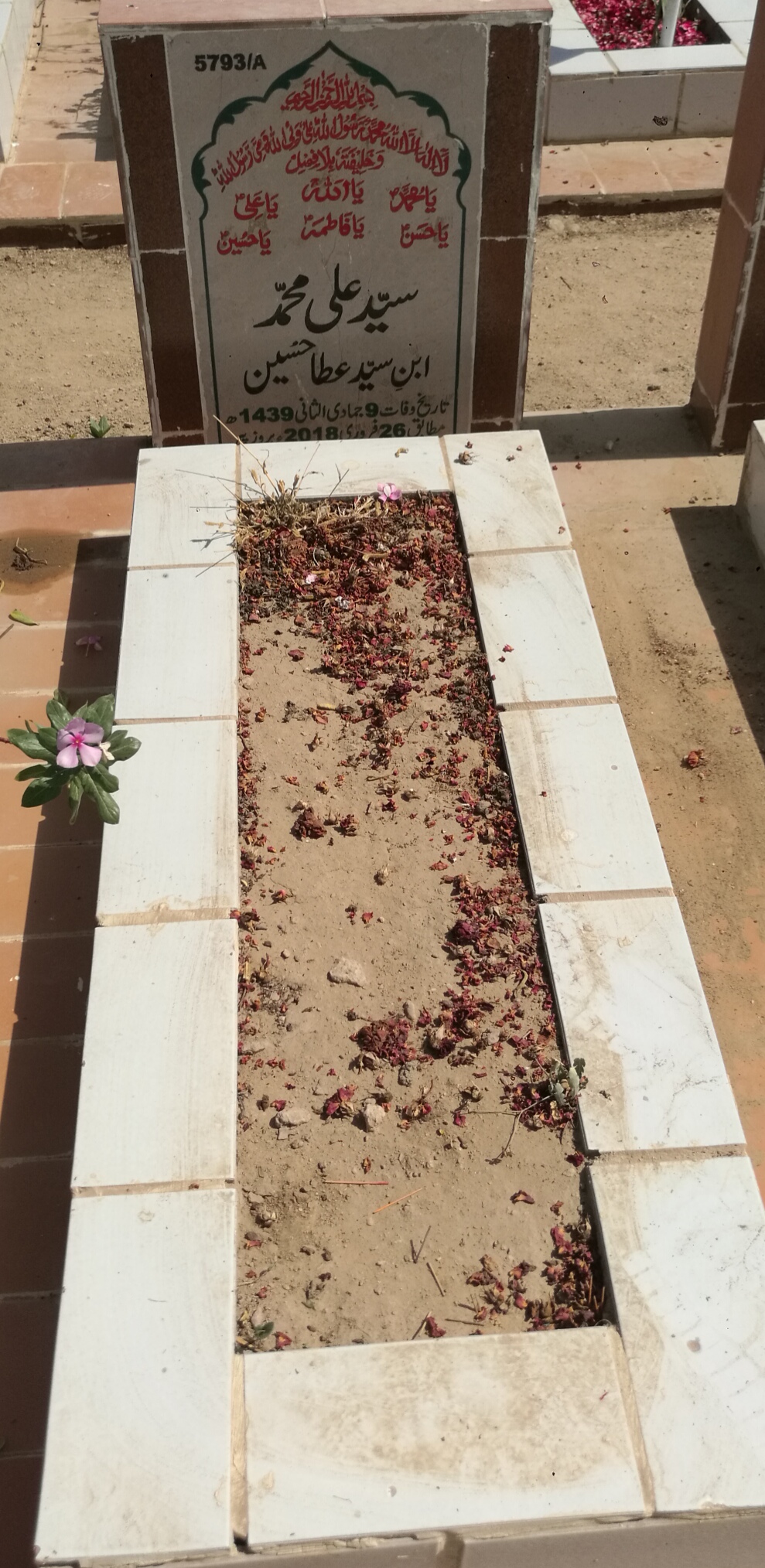 15793 – Syed Ali Muhammad