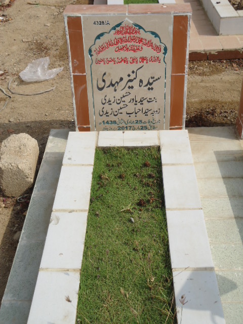 14328 – Syeda Kaneez Mehdi