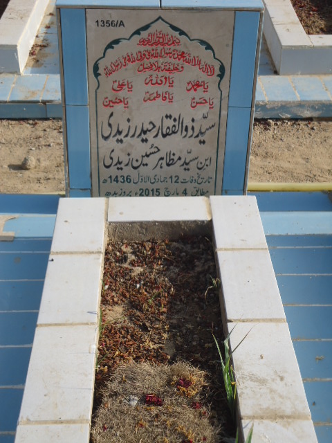 11356 – Syed Zulfiqar Haider Zaidi