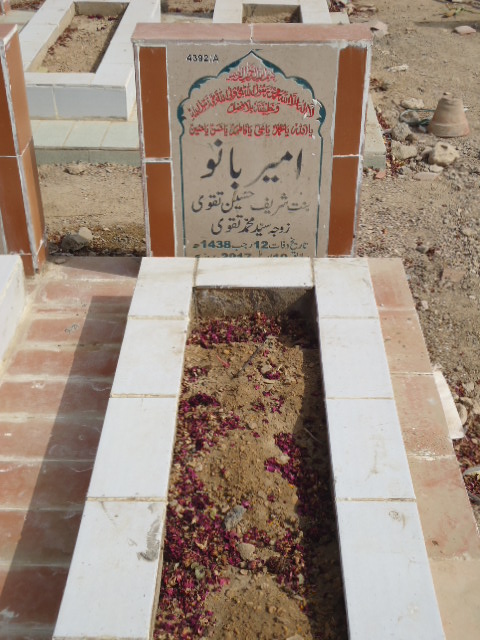 14392 – Ameer Bano