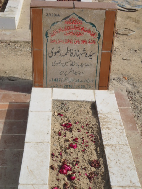 13329 – Syeda Shehnaz Fatima Rizvi