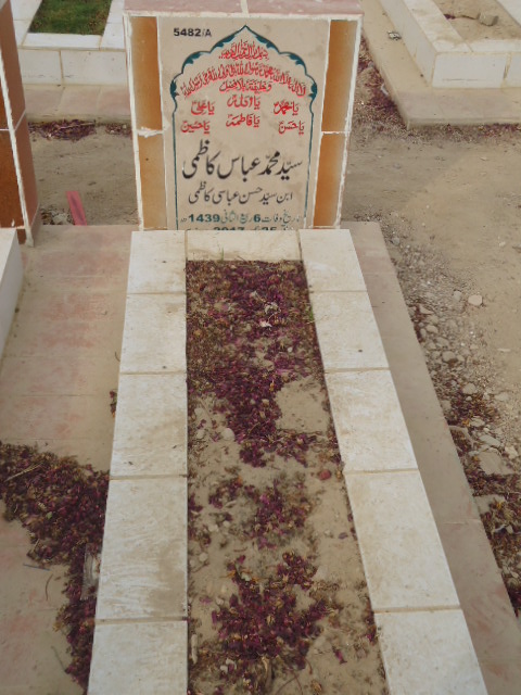 15482 – Syed Muhammad Abbas Kazmi