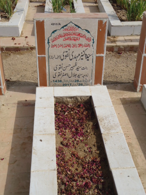 14213 – Syeda Kaneez Mehdi Naqvi