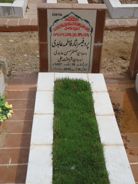 13397 – Prof Nisar Fatima Abidi