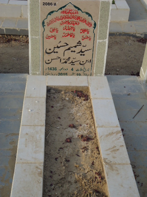 12086 – Syed Shamim Hussain