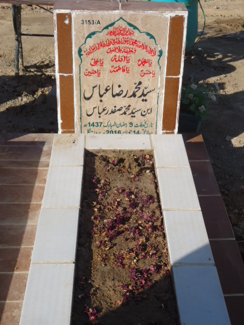 13153 – Syed Muhammad Raza Abbas