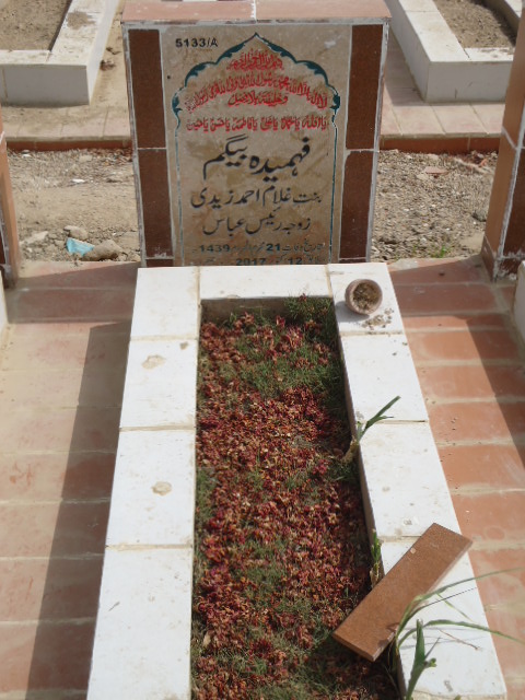 15133 – Fehmeeda Begum