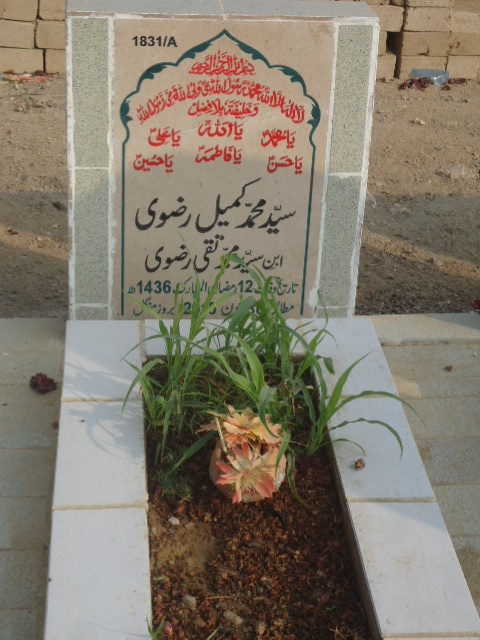 11831 – Syed Muhammad Kumail Rizvi