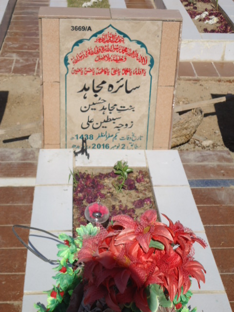 13669 – Saira Mujahid