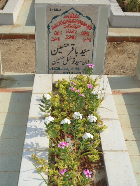 16165 – Syed Baqar Hussain