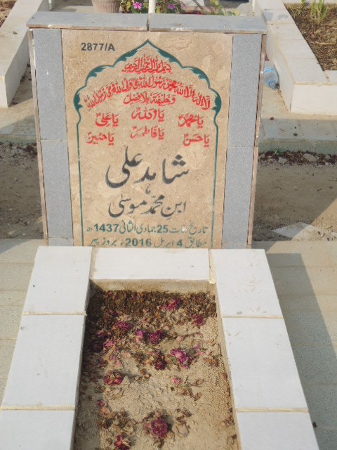 12877 – Shahid Ali