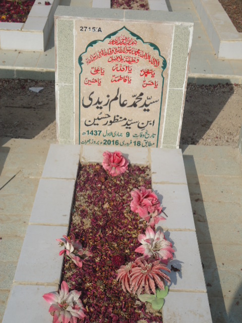 12715 – Syed Muhammad Alam Zaidi