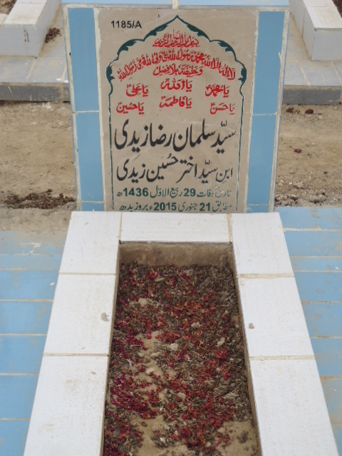11185 – Syed Salman Raza Zaidi