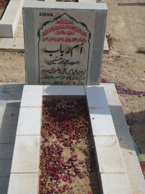 12393 – Ummay Rubab