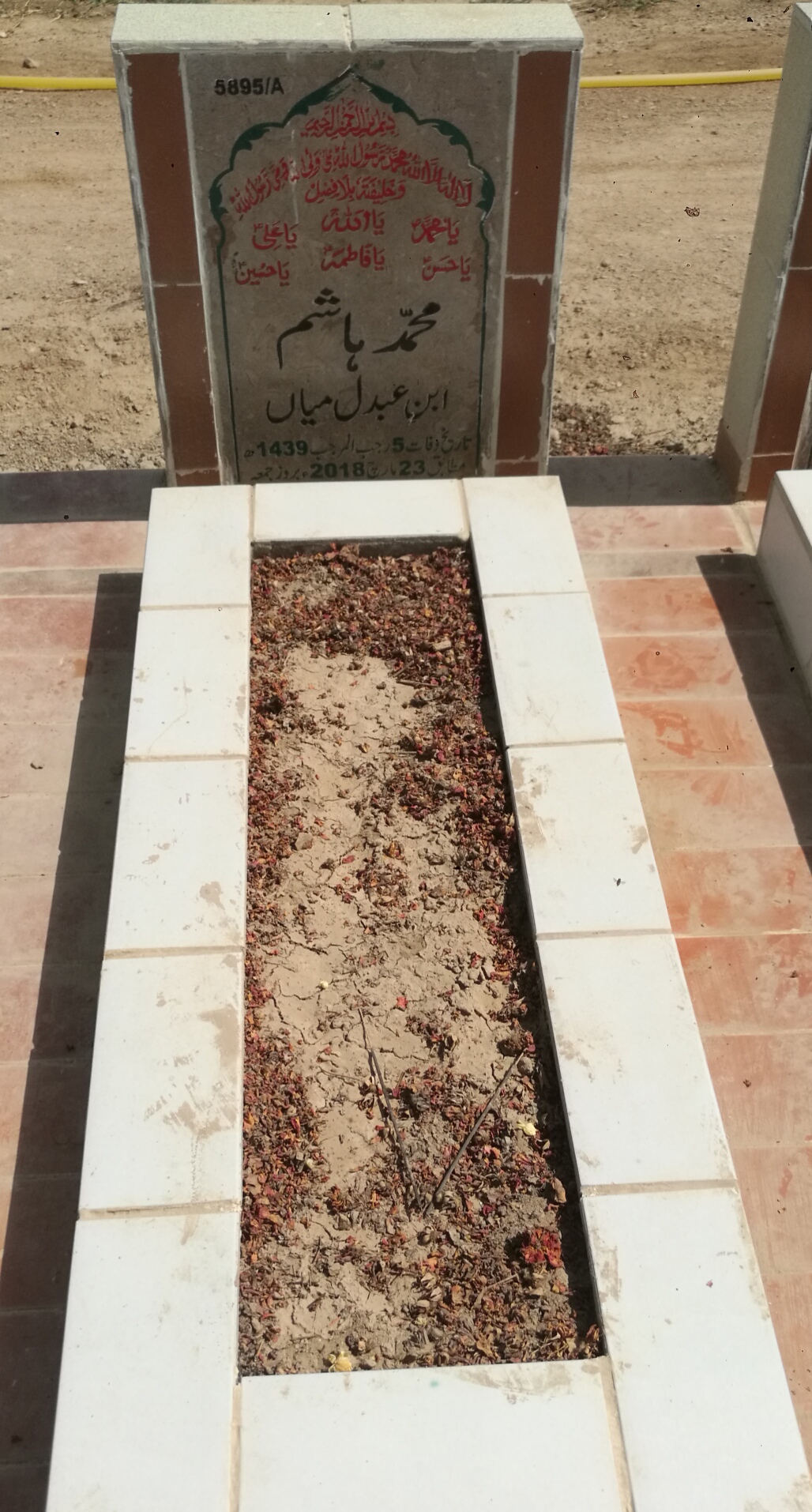 15895 – Muhammad Hashim
