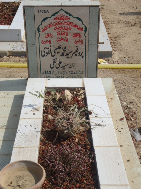 12463 – Prof Syed Muhammad Essa Naqvi