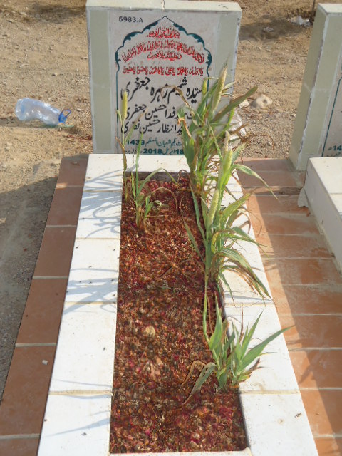 15983 – Syeda Shamim Zehra Jaffery