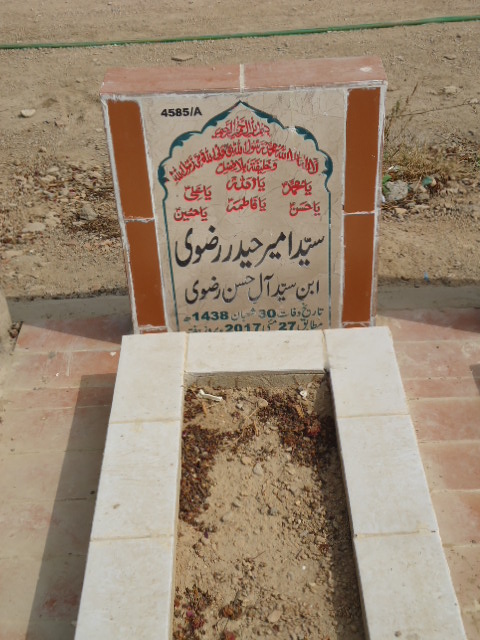 14585 – Syed Ameer Haider Rizvi