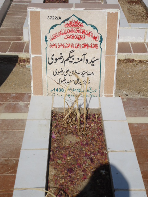 13722 – Syeda Amna Begum Rizvi