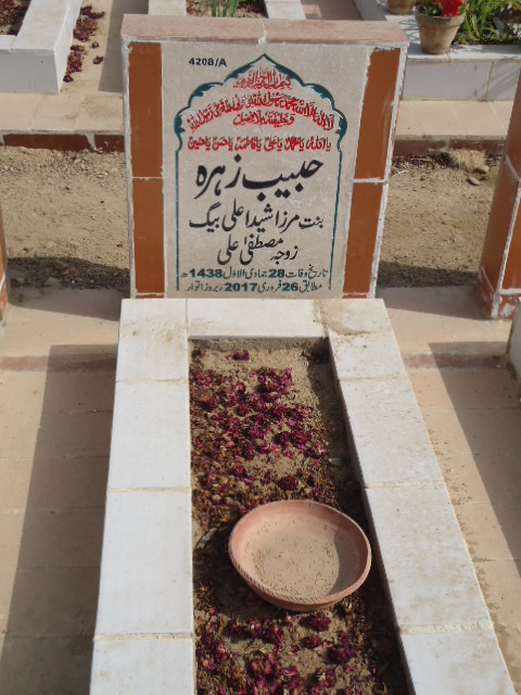 14208 – Habib Zehra
