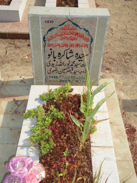 16039 – Syeda Shakira Bano