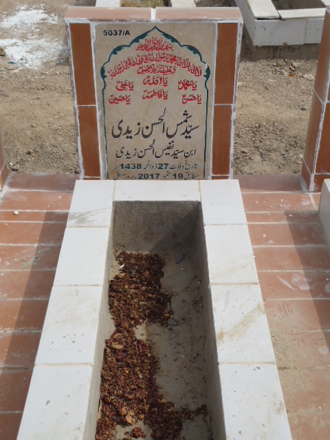 15037 – Syed Shams Ul Hassan Zaidi