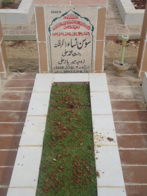 13946 – Sosan Nisa