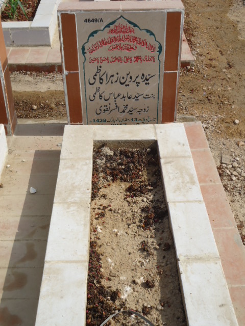 14649 – Syeda Parveen Zehra Kazmi