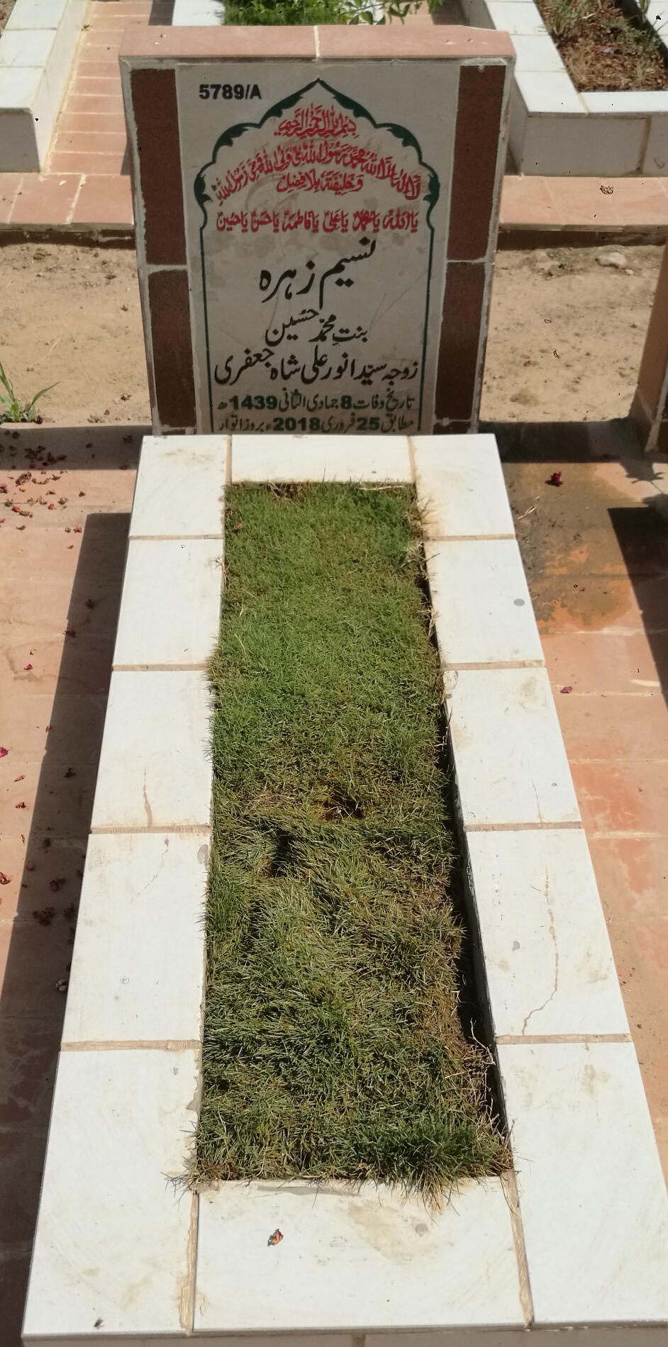 15789 – Naseem Zehra