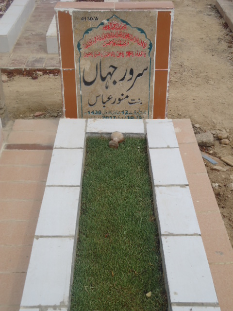 14130 – Sarwar Jahan