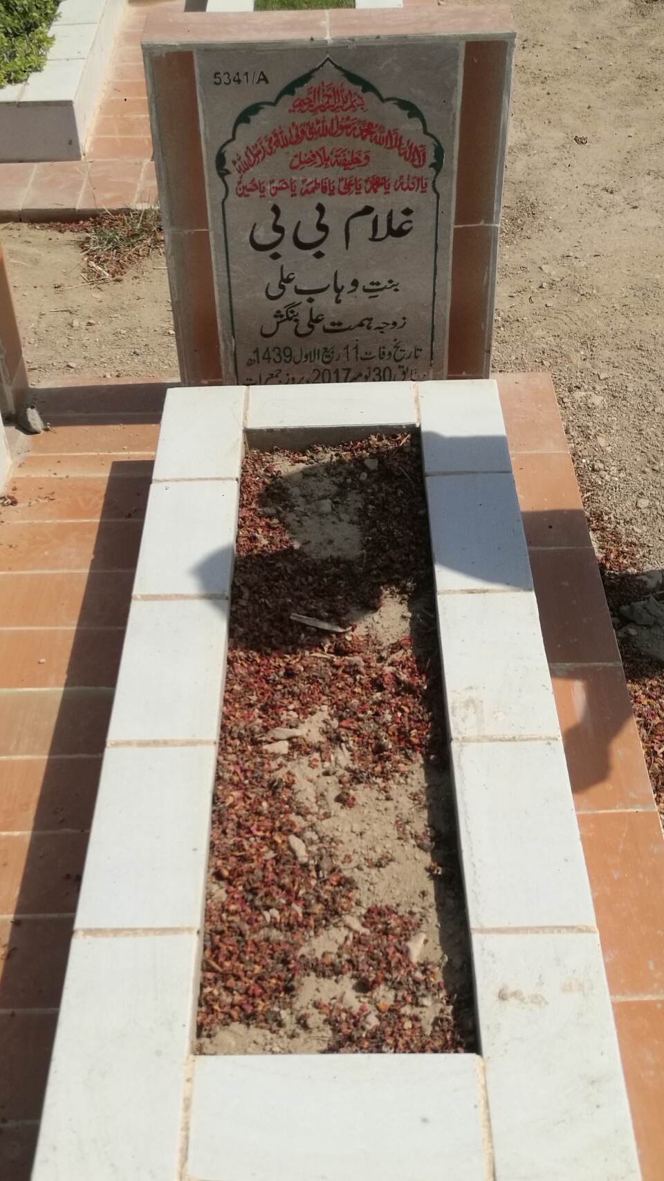 15341 – Ghulam Bibi
