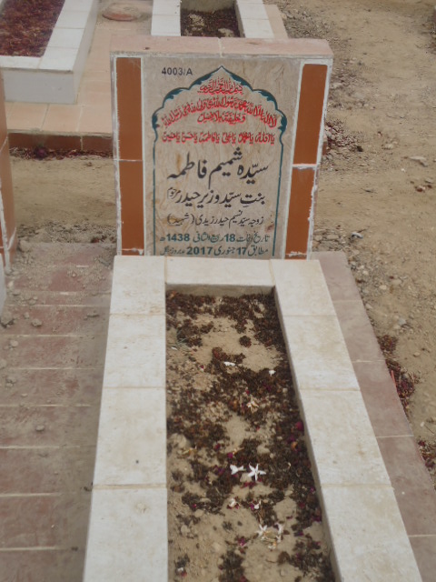 14003 – Syeda Shamim Fatima