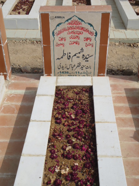 14389 – Syeda Shamim Fatima