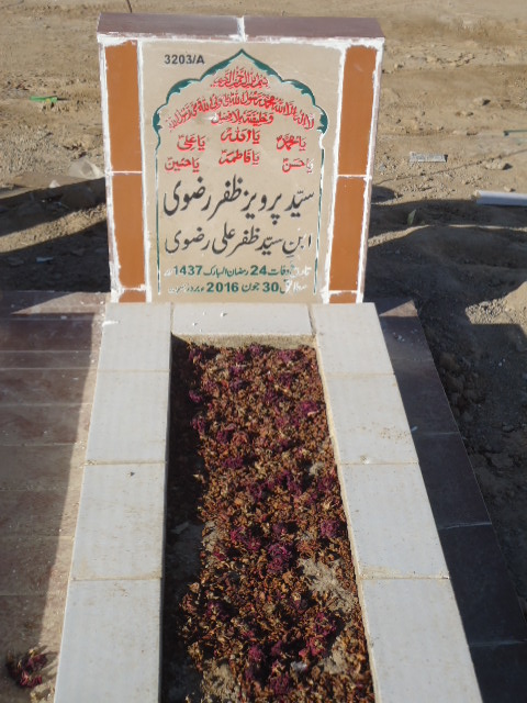 13203 – Syed Parveez Zafar Rizvi