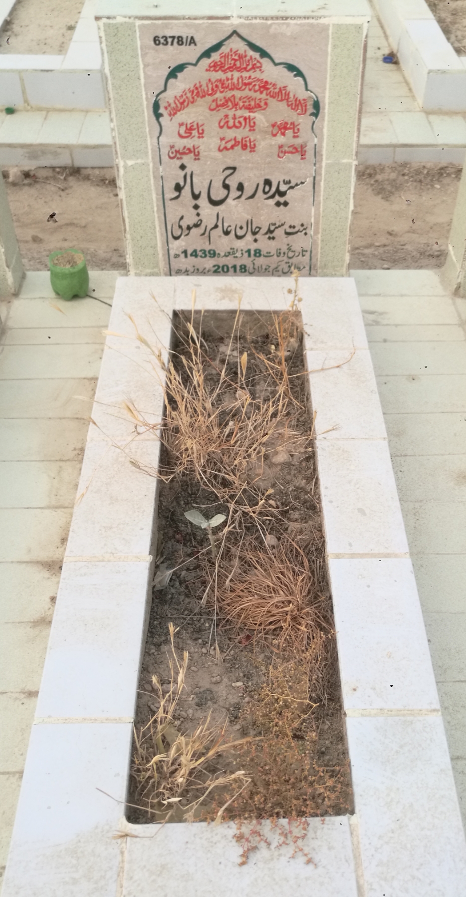 16378 – Syeda Rohi Bano